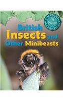 British Insects and other Minibeasts