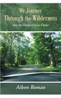 My Journey Through the Wilderness: Into the Heart of Jesus Christ(English)