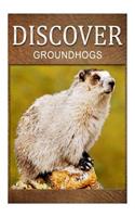 Groundhogs - Discover