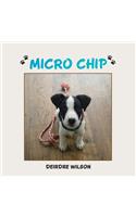 Micro Chip