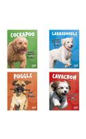 Top Hybrid Dogs