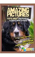 Amazing Pictures and Facts About Bernese Mountain Dogs : The Most Amazing Fact Book for Kids About Bernese Mountain Dogs (Kids U)