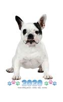 2020 French Bulldog Planner - Weekly - Daily - Monthly