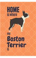 Home is where my Boston Terrier is: For Boston Terrier Dog Fans