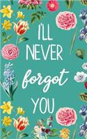 I'll Never Forget You