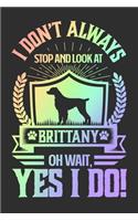 I Don't Always Stop and Look At Brittany OH Wait, Yes I Do!: Personal Planner 24 month 100 page 6 x 9 Dated Calendar Notebook For 2020-2021 Academic Year. Perfect dog lover gift idea for any dog owner