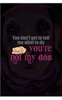 You Don't Get To Tell Me What To Do You're Not My Dog