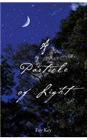 A Particle of Light