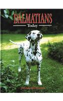 Dalmatians Today