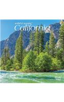 California Wild & Scenic 2021 Mini 7x7