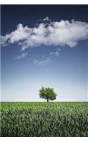 Tree Notebook