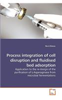 Process integration of cell disruption and fluidised bed adsorption