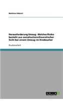Herausforderung Umzug - Welches Risiko besteht aus sozialisationstheoretischer Sicht bei einem Umzug im Kindesalter