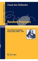 Random Polymers