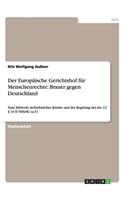 Der Europäische Gerichtshof für Menschenrechte