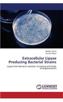 Extracellular Lipase Producing Bacterial Strains