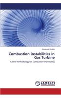 Combustion instabilities in Gas Turbine