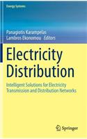 Electricity Distribution