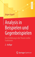 Analysis in Beispielen Und Gegenbeispielen