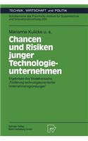 Chancen Und Risiken Junger Technologieunternehmen