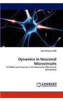 Dynamics in Neuronal Microcircuits