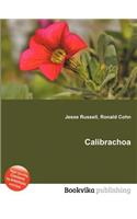 Calibrachoa: (English)