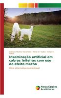 Inseminação artificial em cabras leiteiras com uso do efeito macho