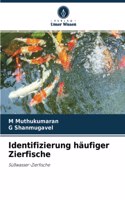 Identifizierung häufiger Zierfische