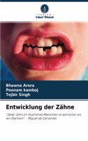 Entwicklung der Zähne