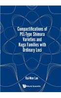 Compactifications Of Pel-type Shimura Varieties And Kuga Families With Ordinary Loci