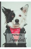 Perfectly Imperfect!