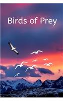 Birds of Prey