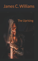 Acid Rayn: The Uprising(1 Uprising)
