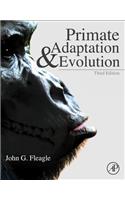 Primate Adaptation and Evolution