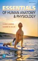 Essentials of Human Anatomy & Physiology