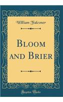 Bloom and Brier (Classic Reprint)