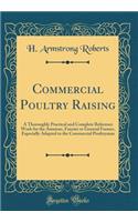 Commercial Poultry Raising: A Thoroughly Practical and Complete Reference Work for the Amateur, Fancier or General Farmer, Especially Adapted to the Commercial Poultryman (Classic Reprint)