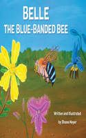 Belle The Blue-Banded Bee