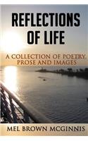 Reflections of Life