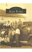 Ash Fork