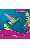 Hummingbirds