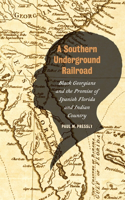 Southern Underground Railroad