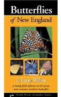 Butterflies of New England