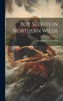 Boy Scouts in Northern Wilds