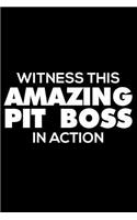 Witness This Amazing Pit Boss in Action: Funny Writing Notebook, Journal for Work, Daily Diary, Planner, 6x9 Ruled, Organizer for Pit Boss, Casino Pit Manager