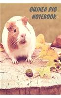 Guinea Pig Notebook