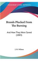 Brands Plucked From The Burning: And How They Were Saved (1883)