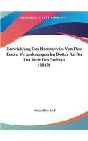 Entwicklung Des Hummereies Von Den Ersten Veranderungen Im Dotter an Bis Zur Reife Des Embryo (1843)