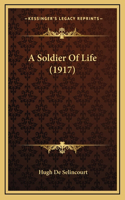 Soldier Of Life (1917)