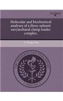 Molecular and Biochemical Analyses of a Three-Subunit Euryarchaeal Clamp Loader Complex